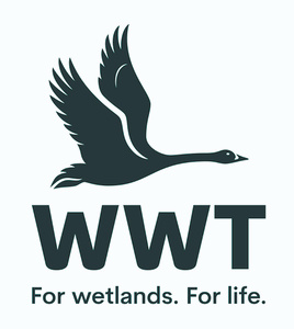 WWT logo.jpg