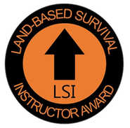 LSI PNG LOGO.png