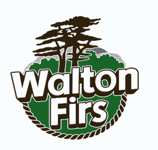 WaltonFirst logo THIS.png