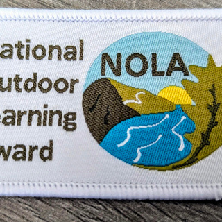 NOLA Badge - Cloth.jpg