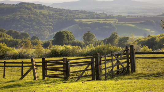 English landscape with gate.jpg