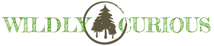 Wildly Curious logo.png