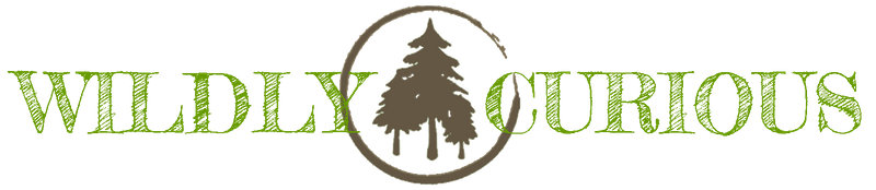 Wildly Curious logo.png