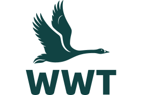 Directory image of WWT