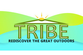 Directory image of Discover Tribe Ltd (TRIBE)