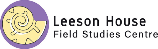 Leeson logo final.jpg
