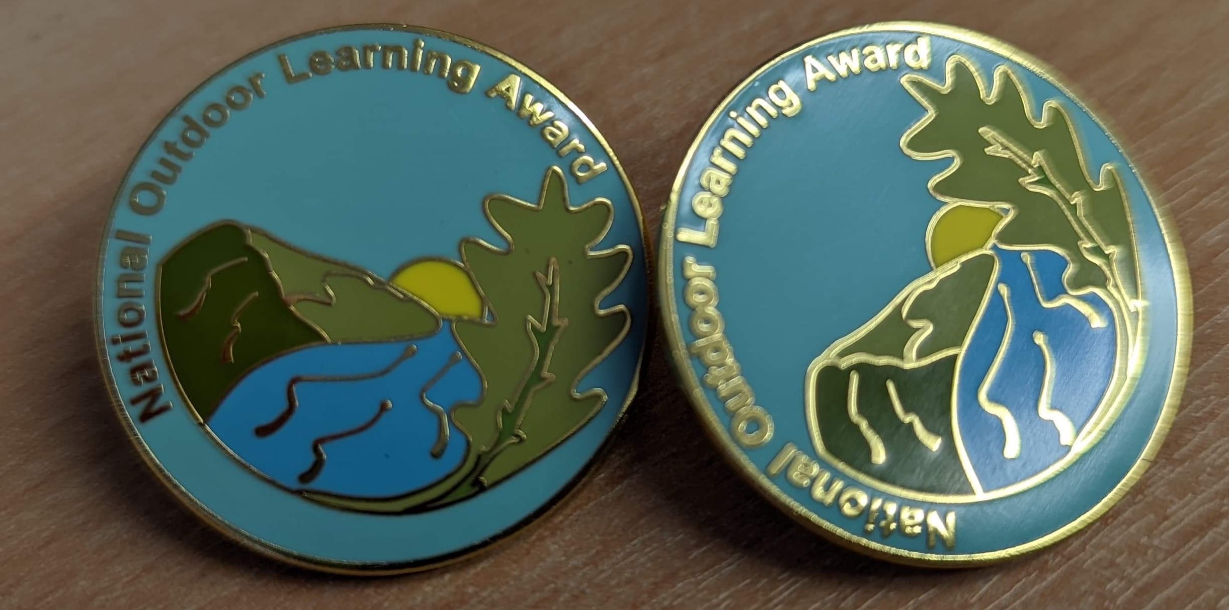 NOLA badges.JPG