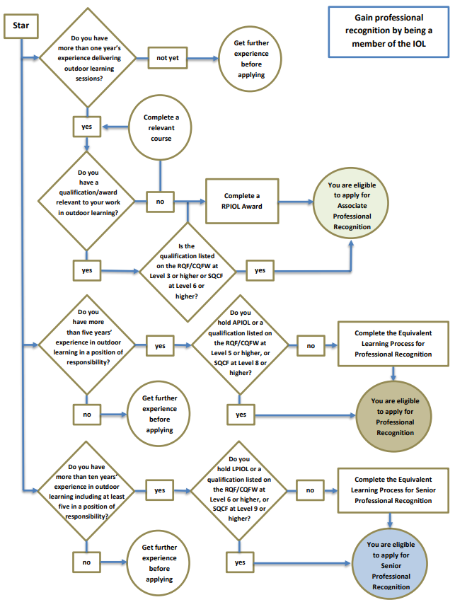 Professional Recognition Flowchart.png