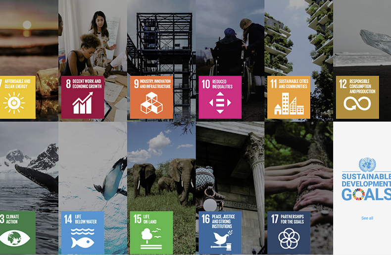 UN Sustainable Development Goals